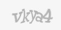 Güvenlik kodu