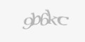 Güvenlik kodu