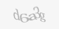 Güvenlik kodu