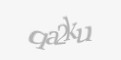 Güvenlik kodu